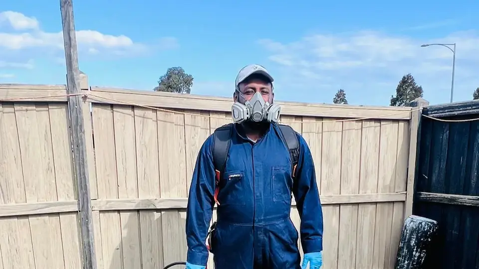 Professional termite inspection in attic