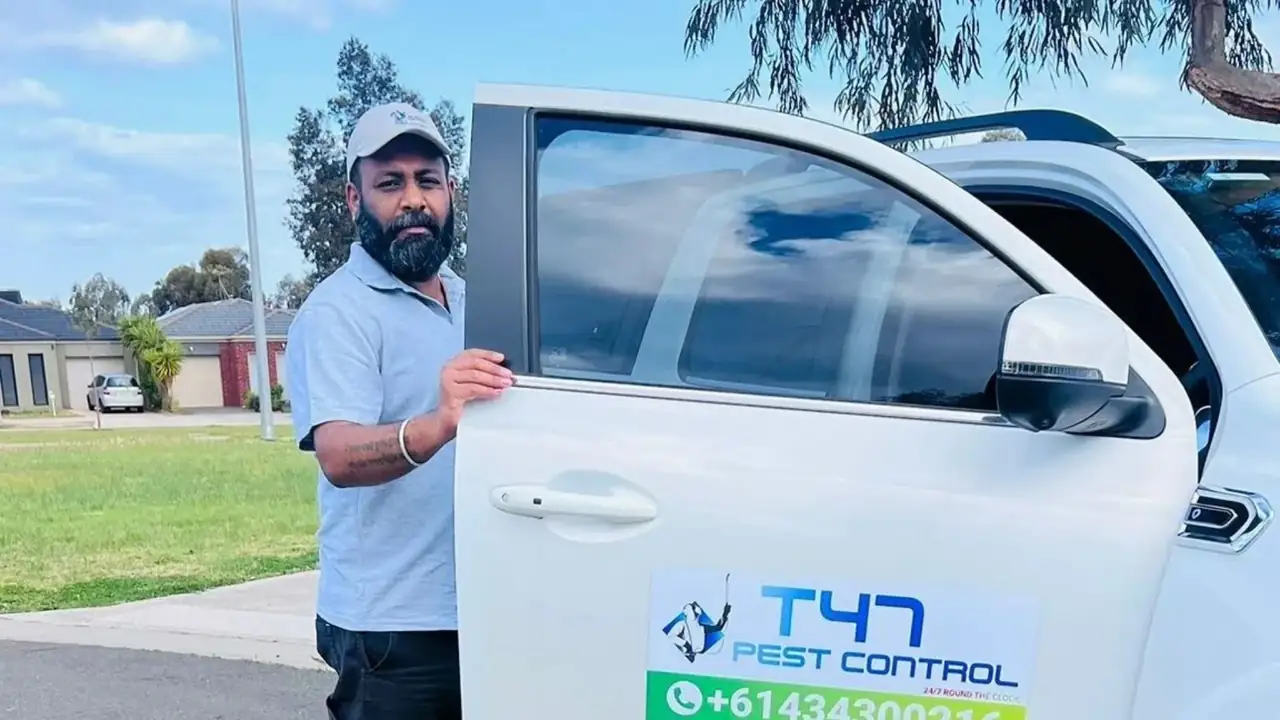 Eco-friendly termite baiting systems